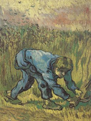 Vincent Van Gogh Reaper with Sickle (nn04) oil painting image